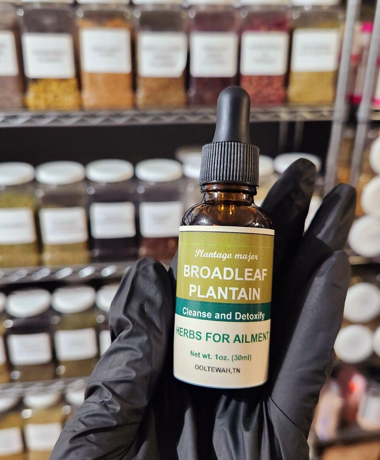 Broadleaf Plantain Tincture-Detox