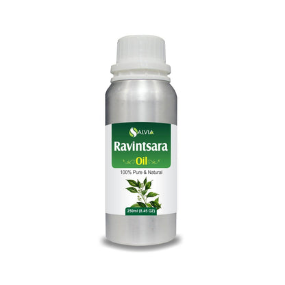 Ravintsara (Cinnamomum Camphora)100% Pure & Natural Essential Oil-[10Ml - 25 L].