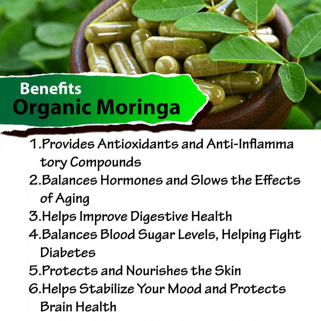 Moringa Capsules 600Mg Oleifera Leaf Pure Organic Powder Natural Superfood Caps