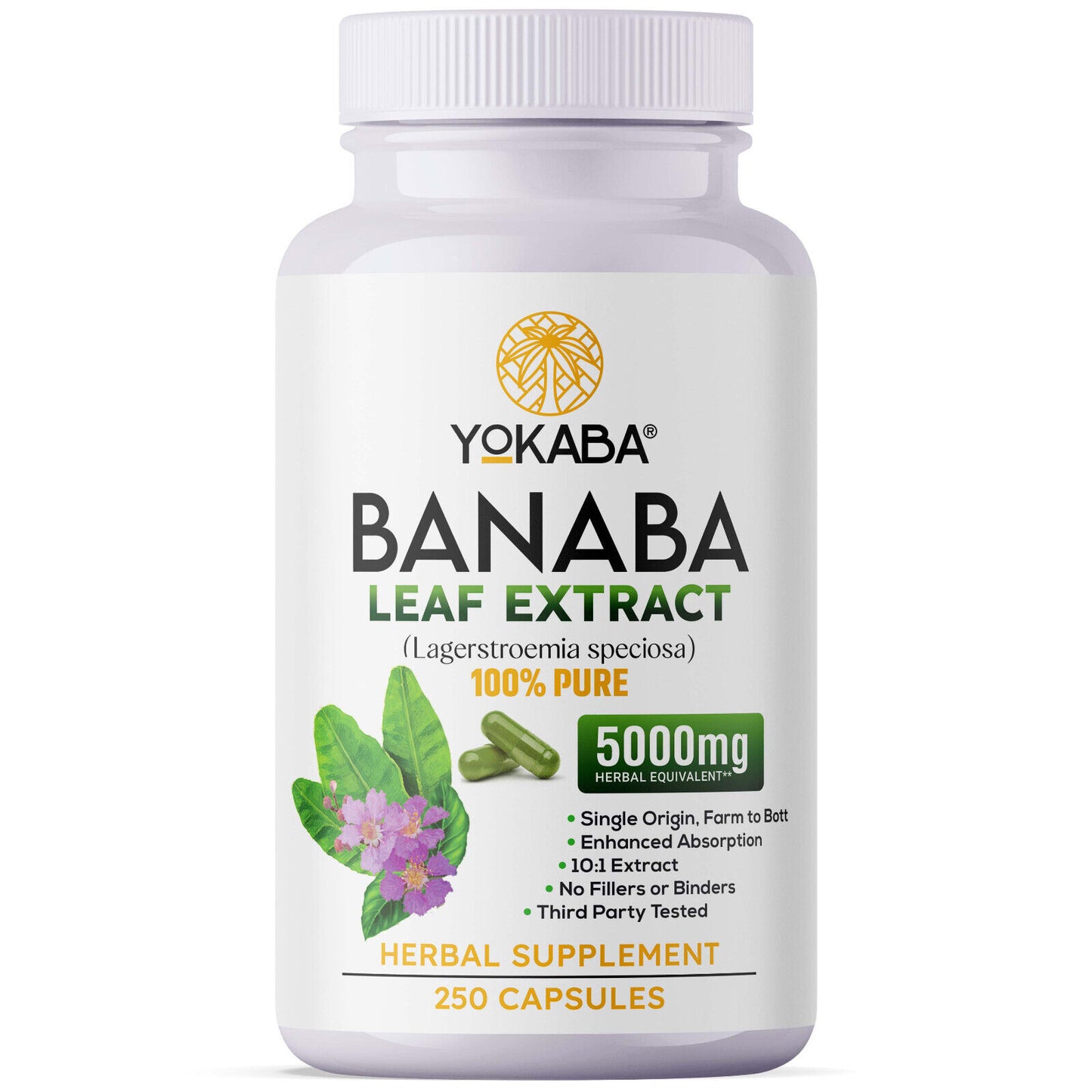 Banaba Leaf Extract 5000Mg Corosolic Acid 3.8Mg Lagerstroemia (250 capsules)