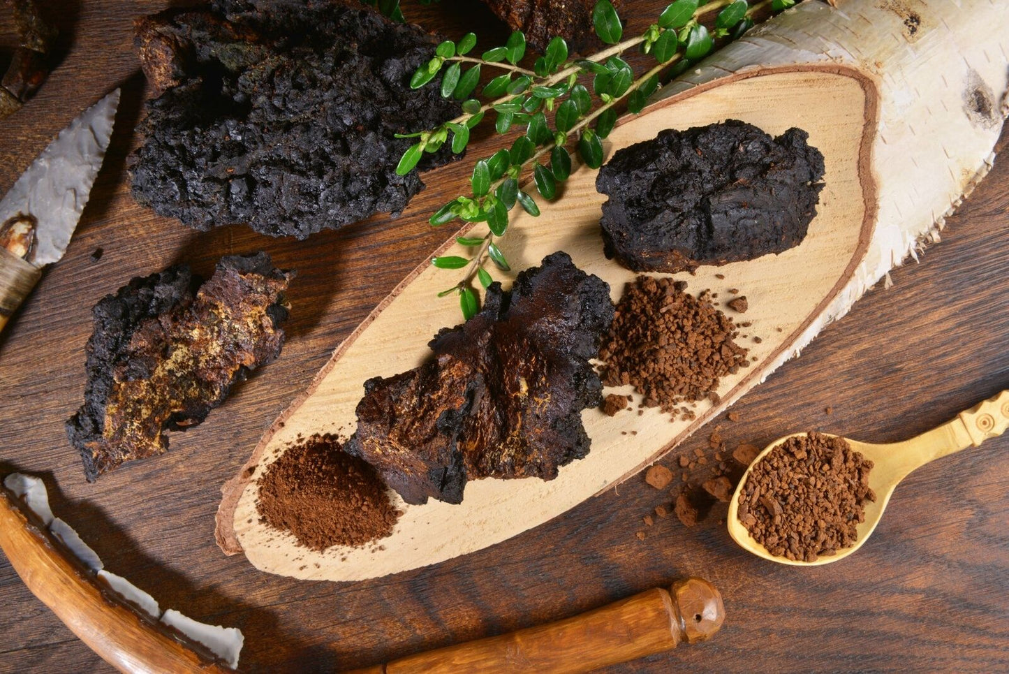 The Good Guru Chaga Mushroom Extract - Immune Function, Blood Pressure