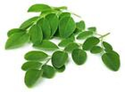 Moringa Leaf - Dried Moringa Oleifera Leaf C/S 100% from Nature, Wild Crafted