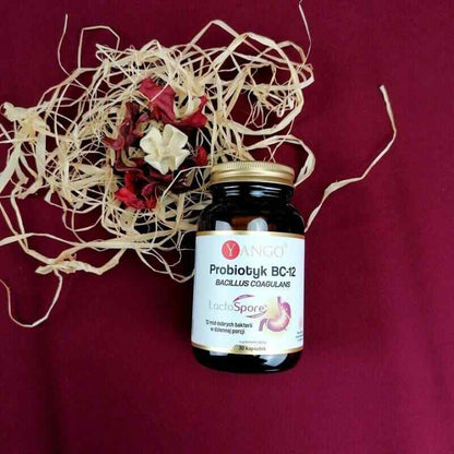 YANGO Probiotic BC-12 (Bacillus Coagulans) 30 Vege Capsules