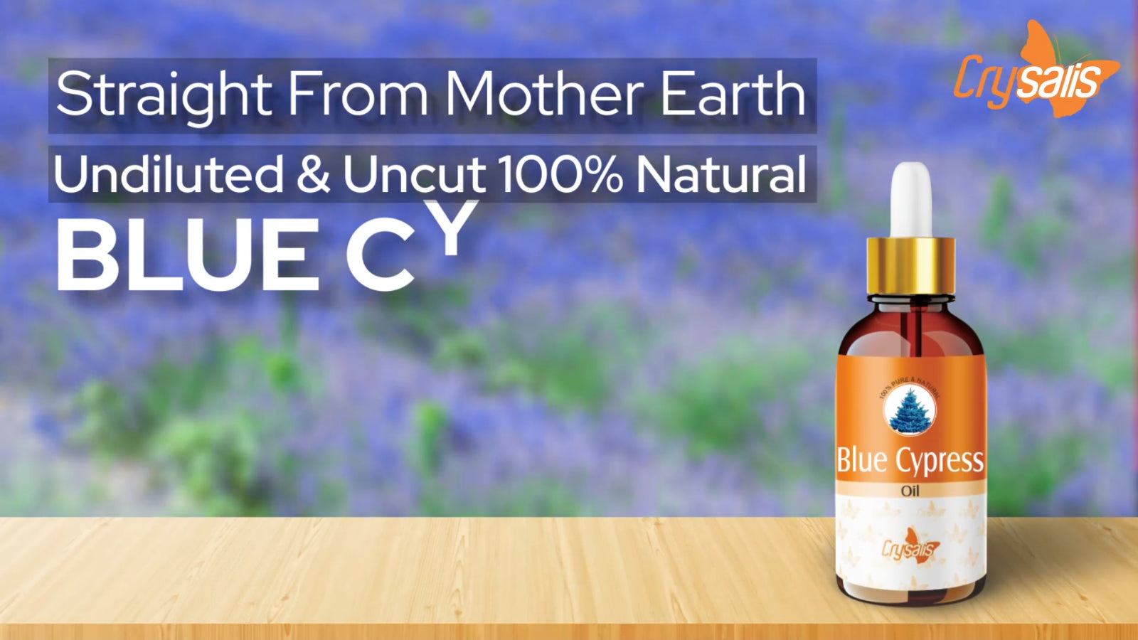 Blue Cypress (Chamaecyparis ) 100% Pure & Natural Essential Oil [15Ml-25 Litre]