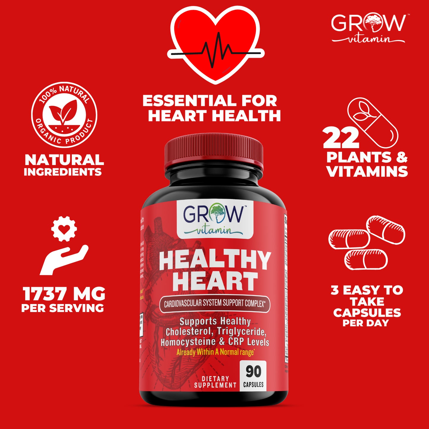 Healthy Heart Capsules for Artery Cleanse & Protection, and Support of Arteries