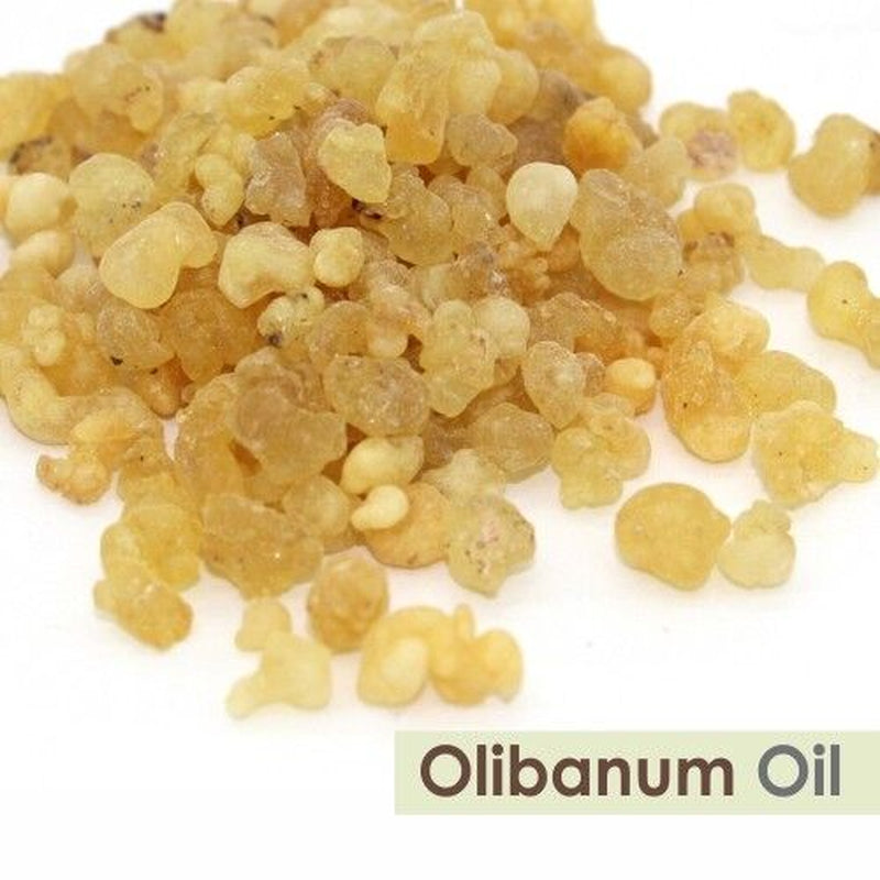 Olibanum (Boswellia Serrata) 100% Pure & Natural Essential Oil - [10Ml - 25 L].