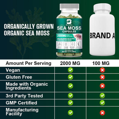 Organic Sea Moss Capsules, Irish Sea Moss, Bladderwrack & Burdock Root 120 Pills