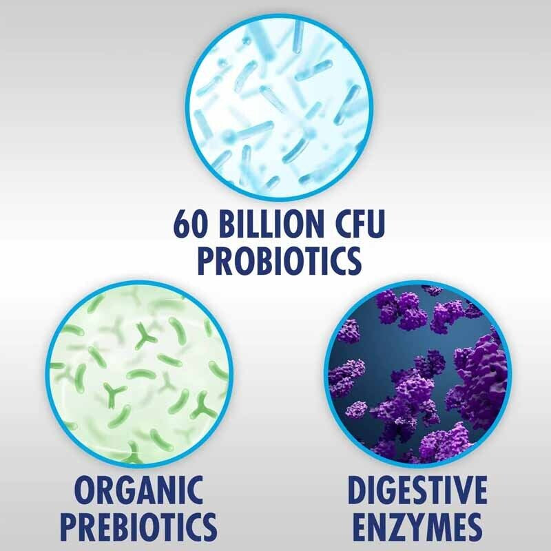 Probiotics 60 Billion CFU Capsules - Promote Digestive Health, Immune Support