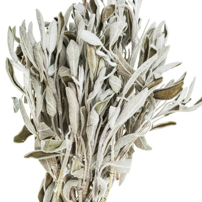 Sage White Whole Organic Wild Crafted Herb Natural 28.3G USDA Certified 1 OZ