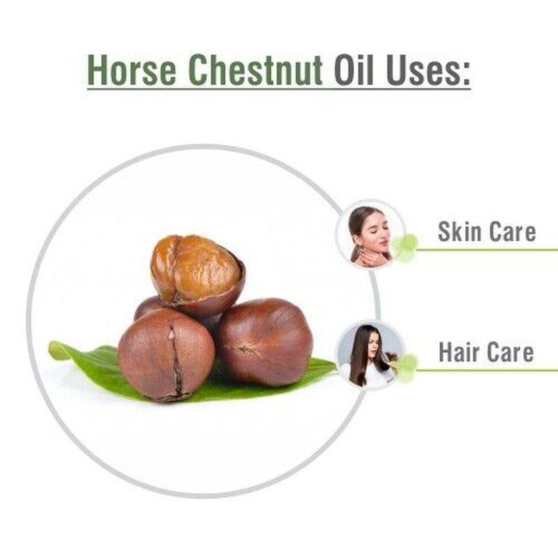 Horse Chestnut (Aesculus Hippocastanum) 100% Pure & Natural Essential Oil - 15Ml