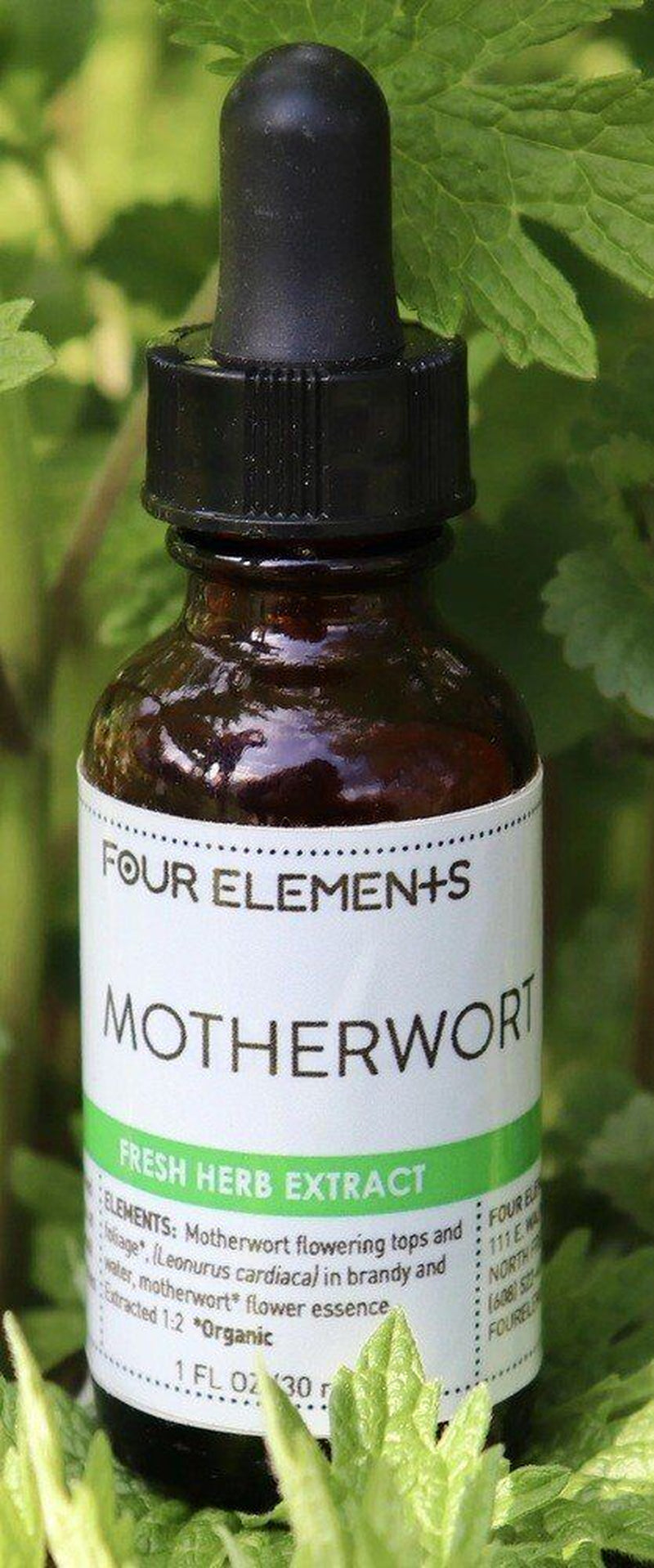 Four Elements Organic Herbals Motherwort Herb Tincture 1 Oz Liquid