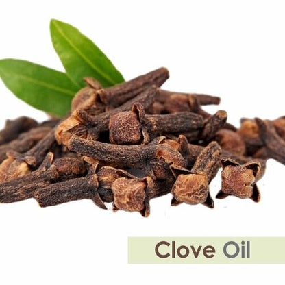 Salvia Clove (Syzygium Aromaticum L) 100% Pure & Natural Essential Oil - 30Ml