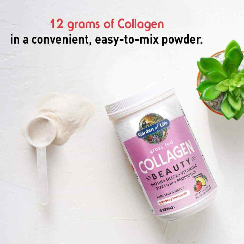 GARDEN of LIFE Collagen Beauty Strawberry Lemonade (Skin, Hair, Joints) 270G