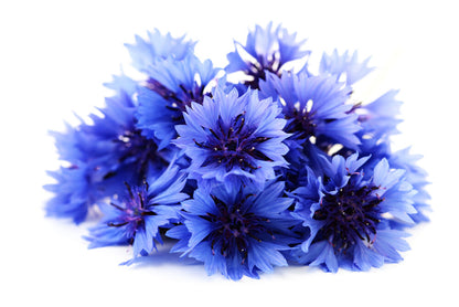 Cornflower Petals - 4 Oz - Centaurea Cyanus Loose Flower from Nature