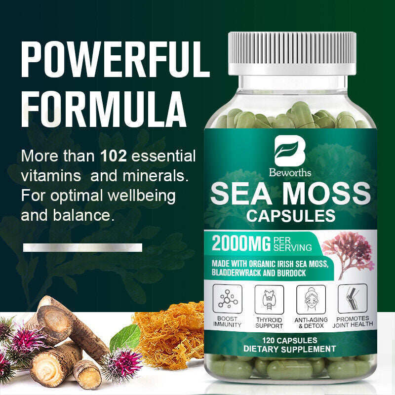 Organic Sea Moss Capsules, Irish Sea Moss, Bladderwrack & Burdock Root 120 Pills