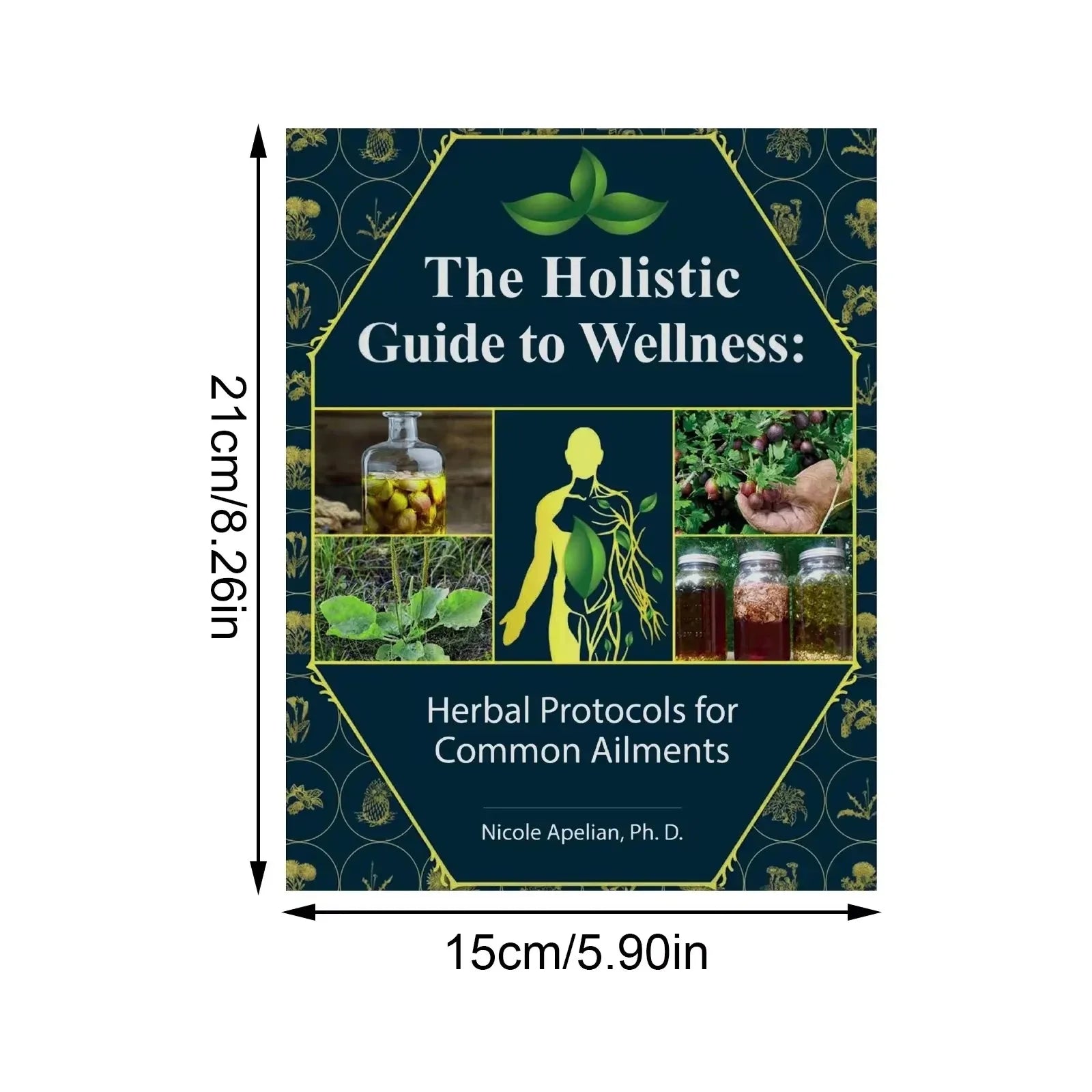 The Holistic Guide to Wellness the Healing Power of Plant Medicine Color Inner Pages Paperback the Lost Book of Herbal Remedies