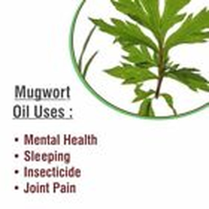 Salvia Mugwort (Artemisia Vulgaris) 100% Pure & Natural Essential Oil - 15Ml