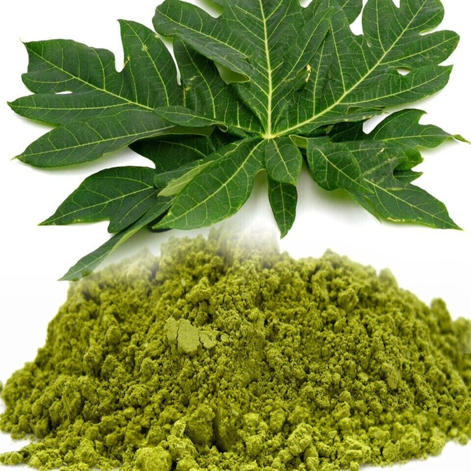 Natural Papaya Leaf Powder Supports Healthy Blood Platelets & Digestion