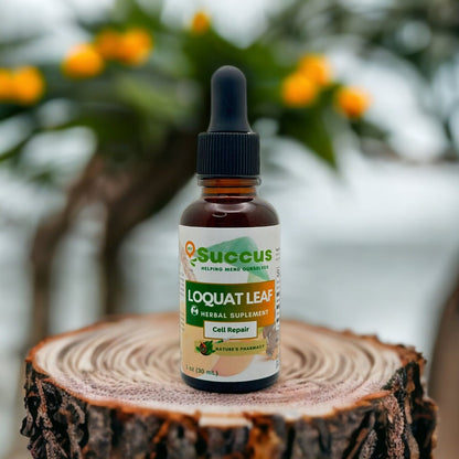 Loquat Leaf Tincture - (Highly Potent)