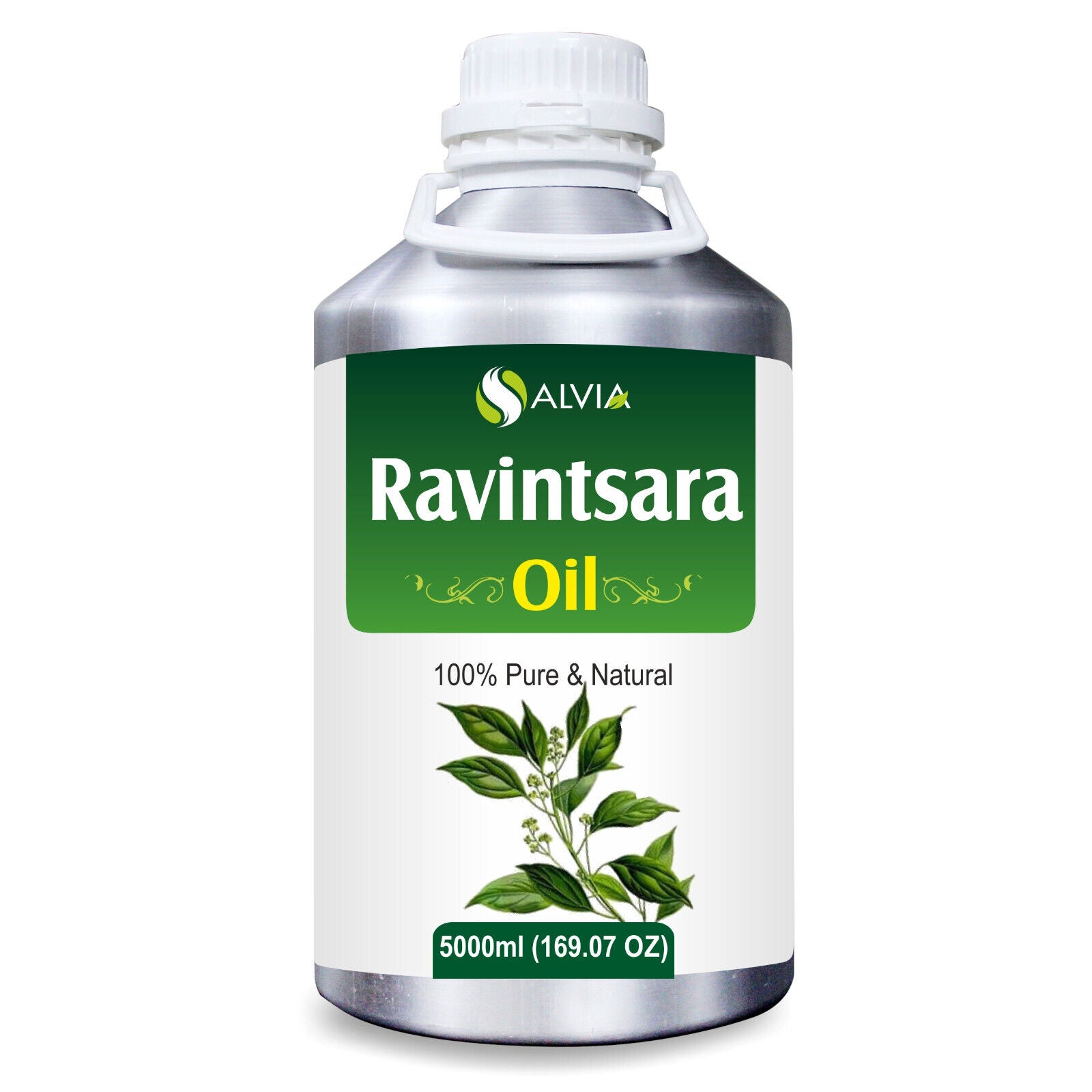 Ravintsara (Cinnamomum Camphora)100% Pure & Natural Essential Oil-[10Ml - 25 L].