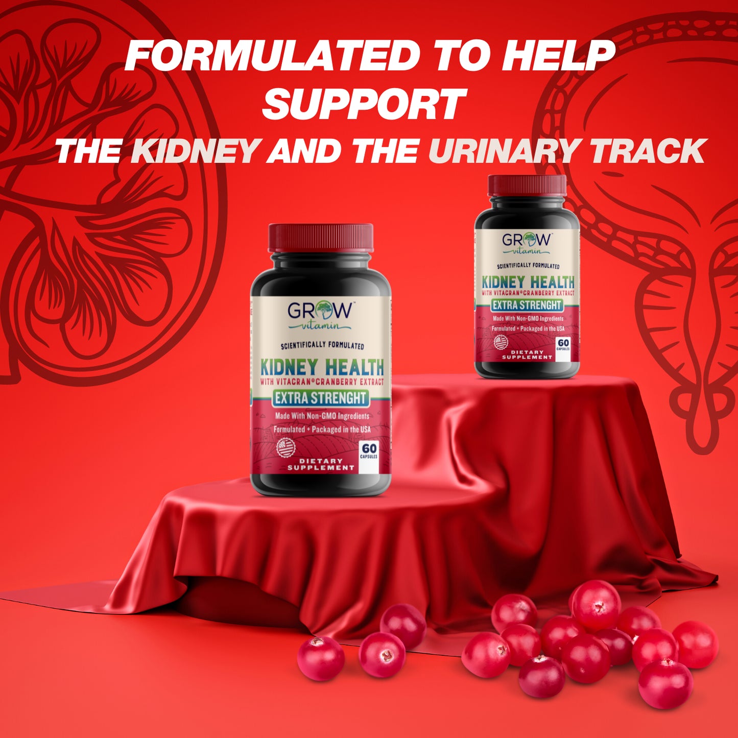 Organic Kidney Support- Herbal Natural Non-Gmo Repair & Cleanse Supplement