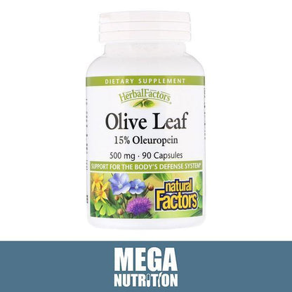 Olive Leaf Extract 15% Oleuropein 500Mg 90 Capsules Candida Anti-Fungal Detox