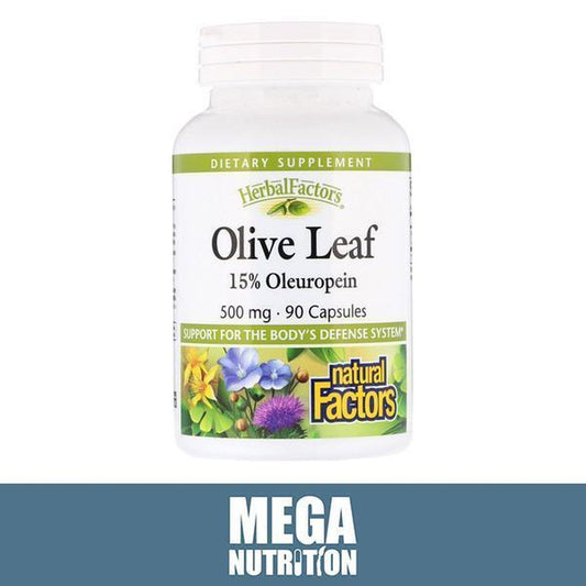 Olive Leaf Extract 15% Oleuropein 500Mg 90 Capsules Candida Anti-Fungal Detox