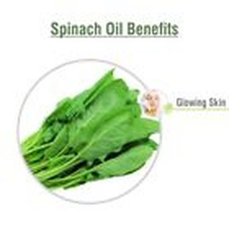 Spinach (Spinacia Oleracea) 100% Pure & Natural Carrier Oil-[10Ml - 25 L].