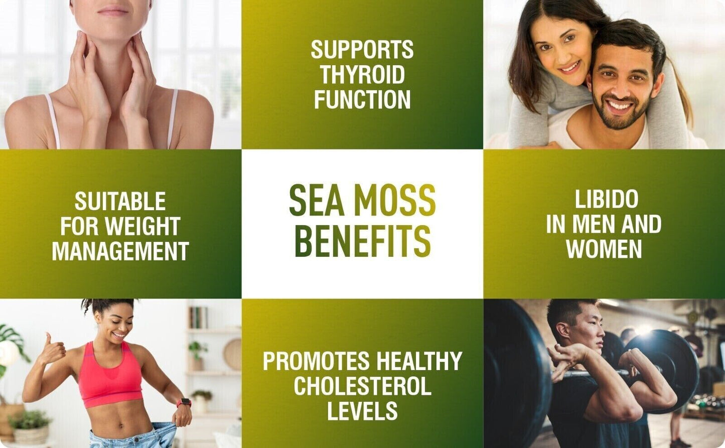 Irish Sea Moss Bladderwrack and Burdock Capsules All Natural Irish Moss Dr Sebi Detox