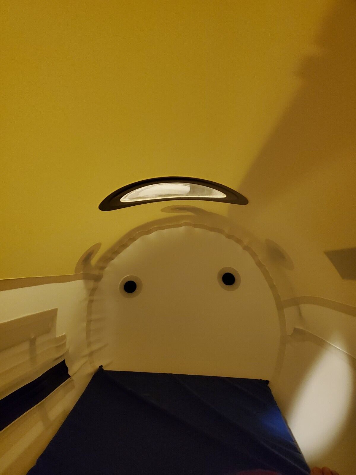 Hyperbaric Oxygen Chamber 33” Diameter