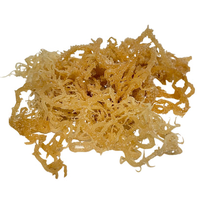 Sea Moss Gel - (Unflavored) 100% Pure Raw Wildcrafted Irish Natural Superfood